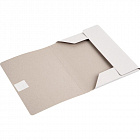 Папка для бумаг с завязками (380 г/кв.м, мелованная, 10 штук в упаковке) Фото 0