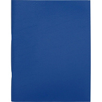 Тетрадь общая А4 80 листов в клетку на скрепке (обложка синяя)