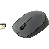 Мышь компьютерная Logitech M170 серая (910-004642)