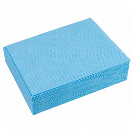 Салфетки хозяйственные Vileda Professional ДжиПи Плюс вискоза/ПЭС 50x35 см синие 25 штук в упаковке (арт. производителя 100844)