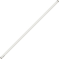 Лампа люминесцентная PHILIPS TL-D 18W/33-640, 18 Вт, цоколь G13, в виде трубки 59 см