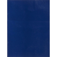 Тетрадь общая А4 96 листов в клетку на скрепке (обложка синяя, 050957)