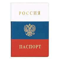 Обложка для паспорта ДПС Россия из ПВХ разноцветная (2203.Ф)