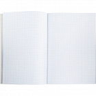 Книга учета 48 листов А4 в клетку на скрепке блок офсет Attache (обложка - картон) Фото 4
