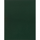 Тетрадь общая А5 48 листов в клетку на скрепке (обложка зеленая)