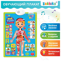 Плакат детский музыкальный обучающий "Изучаем анатомию: Моё тело", ZABIAKA, 5148294
