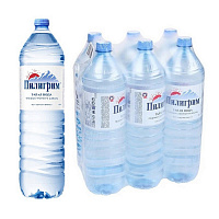 Вода минеральная Пилигрим негазированная 1.5 л (6 штук в упаковке)