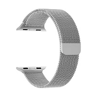 Ремешок Lyambda Capella для Apple Watch 38/40/41 мм серебристый стальной (DS-APM02-40-SL)