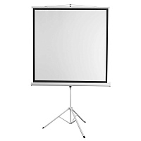 Экран мобильный для проектора Digis DSKD-1106 на штативе 200x200 см