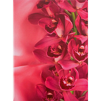 Папка адресная Цветы А4 ламинированный картон розовая