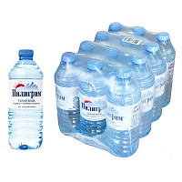 Вода минеральная Пилигрим негазированная 0.5 л (12 штук в упаковке)