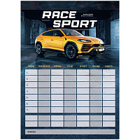 Магнитный планер расписание уроков с маркером А3 ArtSpace "Пиши-Стирай. Race Sport