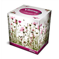 Салфетки косметические Kleenex Collection 2-слойные (100 штук в упаковке)