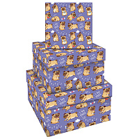 Набор квадратных коробок 3в1, MESHU "Pugs", (19,5*19,5*11-15,5*15,5*9см)