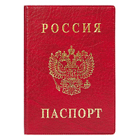 Обложка для паспорта ДПС из ПВХ красного цвета (2203.В-102)