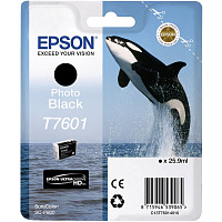Картридж струйный Epson T760 C13T76014010 фото черный оригинальный