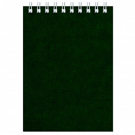 Блокнот Альт Офис 1 А6 60 листов зеленый в клетку на спирали (95х135 мм) (артикул производителя 61357)