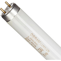 Лампа люминесцентная Osram L36W/840 36 Вт G13 T8 4000 K (4008321581419, 25 штук в упаковке)
