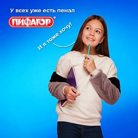 Пенал ПИФАГОР, 3 отделения, ламинированный картон, 19х11 см, "Bears", 273487