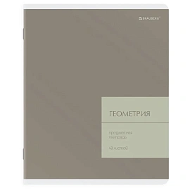 Тетради предметные, КОМПЛЕКТ 12 ПРЕДМЕТОВ 48 л., пластиковая обложка, BRAUBERG "MonoPastel", 405540