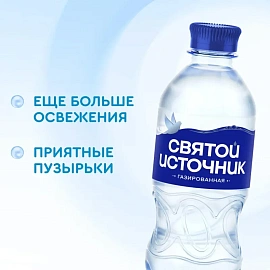 Вода питьевая Святой Источник газированная 0.33 л (12 штук в упаковке)