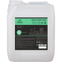 Чистящее средство универсальное Luscan Professional Quick Shine Соnc 5 л (концентрат)