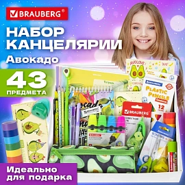 Набор канцелярии подарочный BRAUBERG "AVOCADO", 18 наименований, 43 предмета, 880951