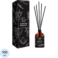 Аромадиффузор Fbrush Black Душистый лемонграсс 100 мл