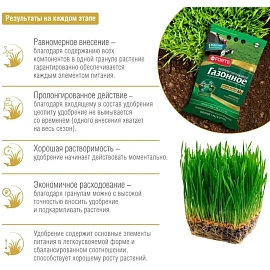 Удобрение для садовых растений и культур Bona Forte Газонное 10 кг