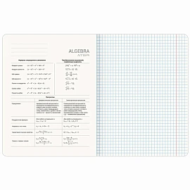 Тетради предметные, КОМПЛЕКТ 12 ПРЕДМЕТОВ, 48 л., SoftTouch, BRAUBERG, "ESTHETICS", 404833
