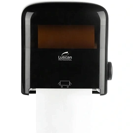 Диспенсер для полотенец рулонных Luscan Professional Etalon H12 чёрный