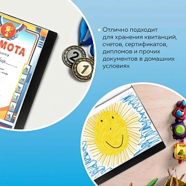 Папка 40 вкладышей BRAUBERG стандарт, черная, 0,7 мм, 221604