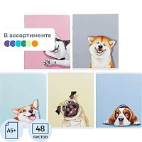 Тетрадь общая Феникс+ Смешные собаки А5+ 48 листов в клетку на скрепках с картонной обложкой с TWIN лаком