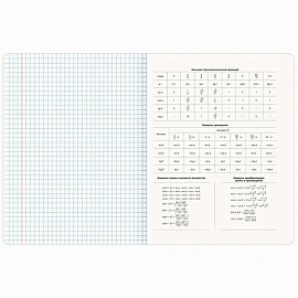 Тетради предметные, КОМПЛЕКТ 12 ПРЕДМЕТОВ, 48 л., SoftTouch, BRAUBERG, "ESTHETICS", 404833