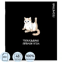 Тетрадь предметная по геометрии Феникс+ Коты мемы А5+ 48 листов в клетку TWIN лак