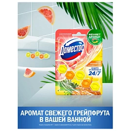 Блок туалетный подвесной твердый 50 г, ДОМЕСТОС "Сила тропиков