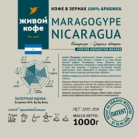 Кофе в зёрнах свежей обжарки Живой Кофе Maragogype Nicaragua арабика 100% 1 кг (пакет)