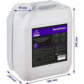 Жидкое средство для стирки энзимное Luscan Professional ЭнзиКлин 5 л (концентрат)