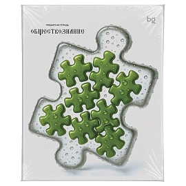 Тетрадь предметная 48л., BG "Юный гений" - Обществознание, эконом