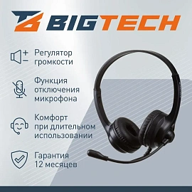 Гарнитура проводная BigTech HWH003 (302012003295588)