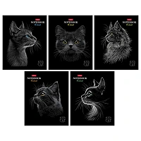 Тетрадь А5, 48 л., HATBER, скоба, клетка, матовая ламинация, 3D-лак, "Black Cat" (микс в спайке), 093159, 48Т5лолВ1