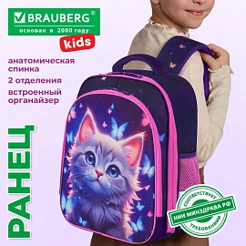 Ранец BRAUBERG KIDS STANDARD, 2 отделения, "Любознательный кот", 36х28х14 см, 273145