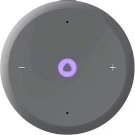 Умная колонка Яндекс Станция Лайт 2 серая (YNDX-00026GRY)