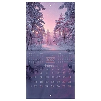 Календарь настенный перекидной 2027 г., BRAUBERG, 12 листов, 21,4х42,8 см, МИНИ, "Nature", 118433