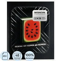 Тетрадь предметная по литературе Феникс+ Фразы с характером А5+ 48 листов в линейку TWIN лак
