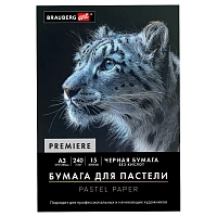 Бумага для пастели АБРАЗИВНАЯ А3, 270х380 мм, в папке, 15 листов, ЧЕРНАЯ, 240 г/м2, BRAUBERG ART, 117766