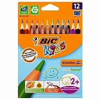 Карандаши цветные BIC Kids Evolution 12 карандашей 12 цветов трёхгранные (утолщённые)
