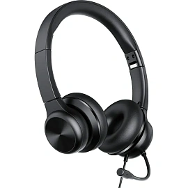 Гарнитура проводная Rapoo H180 (H180-BL)
