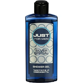 Подарочный набор для мужчин Just For Men Silver (шампунь и гель для душа, 2x210 мл)