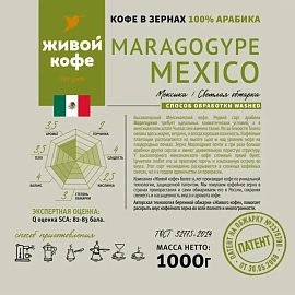Кофе в зёрнах свежей обжарки Живой Кофе Maragogype Mexico арабика 100% 1 кг (пакет)